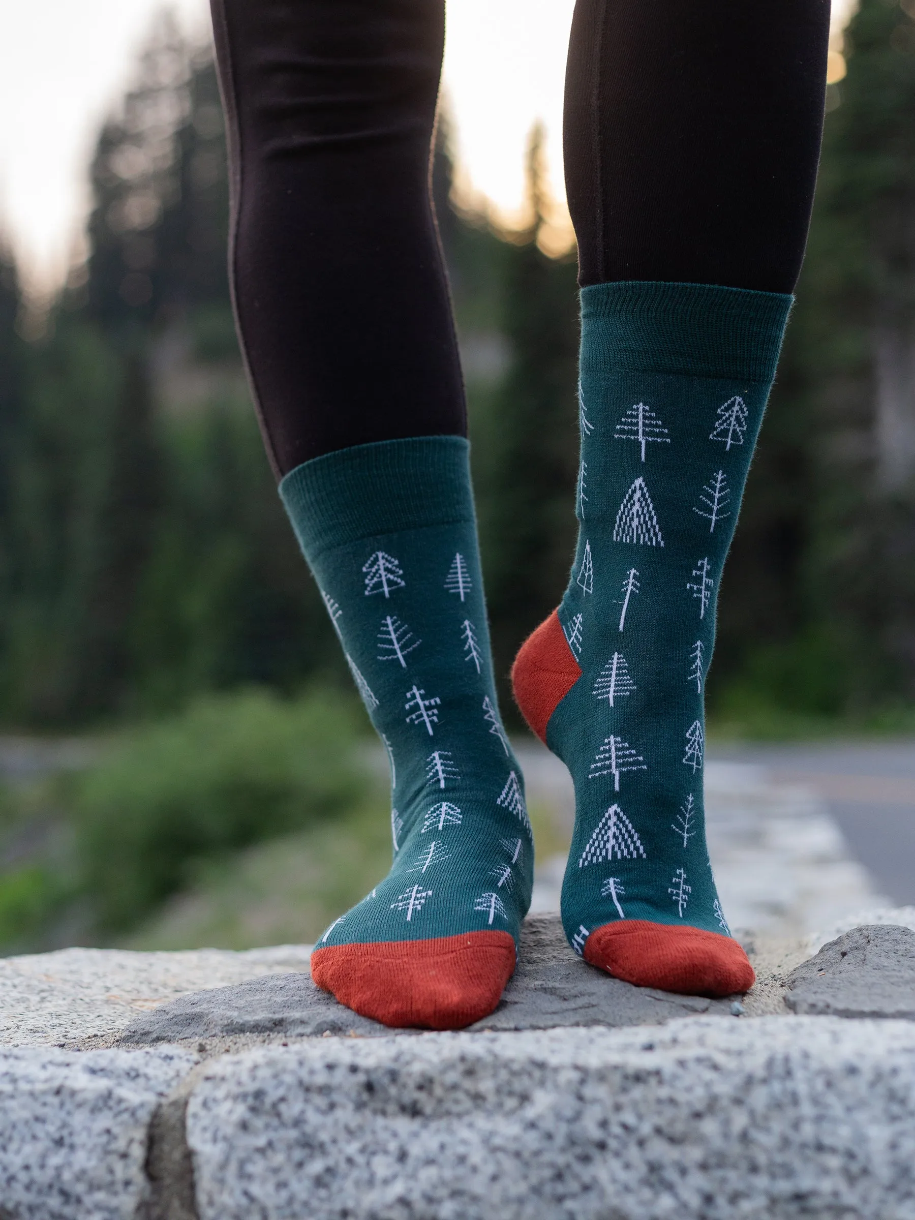 Arboretum Socks