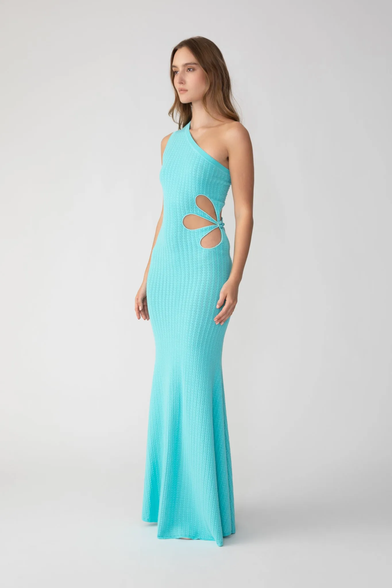 Dion Knit Dress