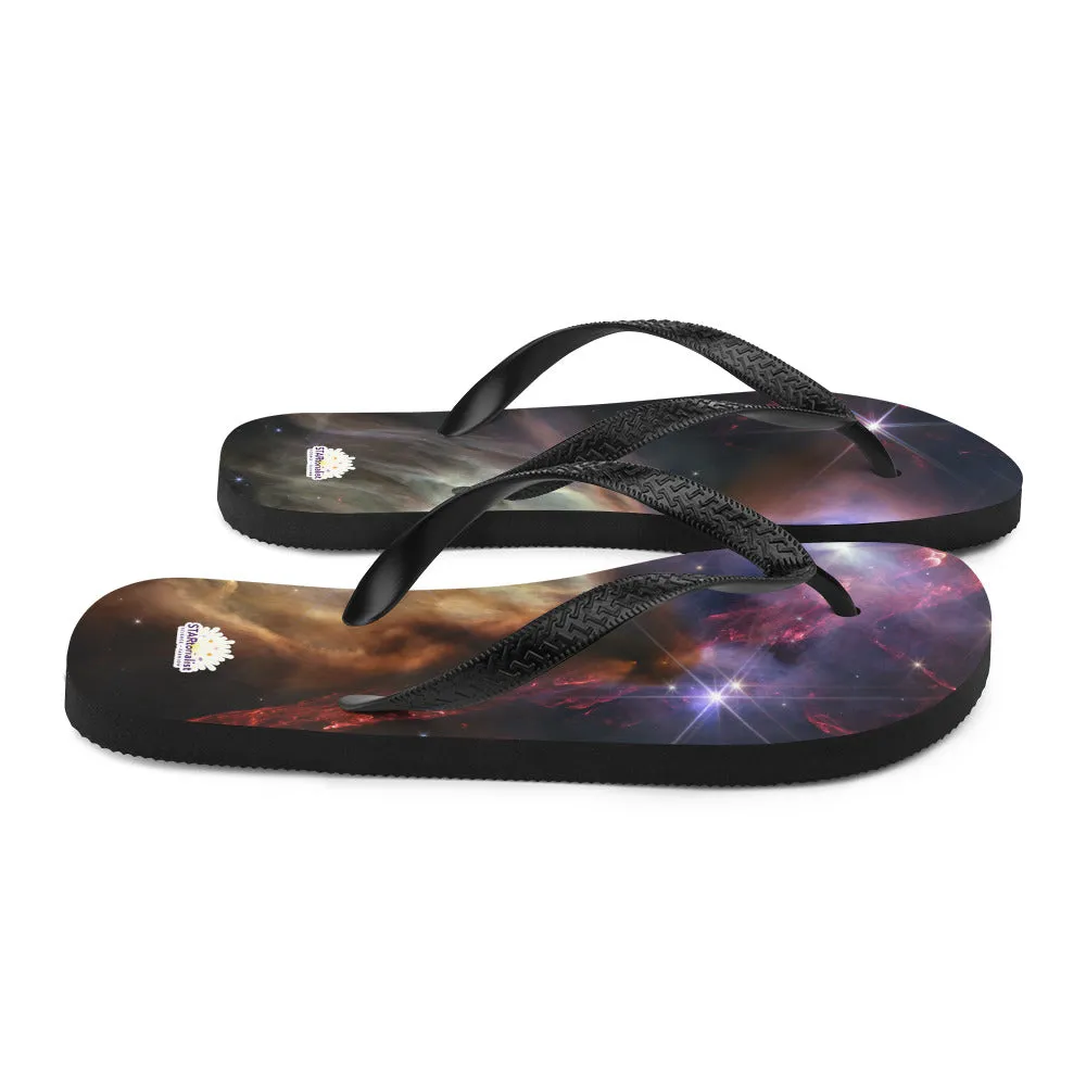 JWST Rho Ophiuchi Flip Flops