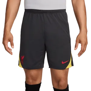 Liverpool FC Strike Third Men's Nike Dri-FIT Shorts (FQ2423-070)