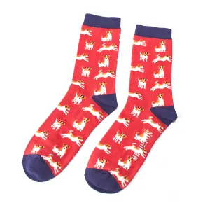 Mens Socks Jack Russel -Red