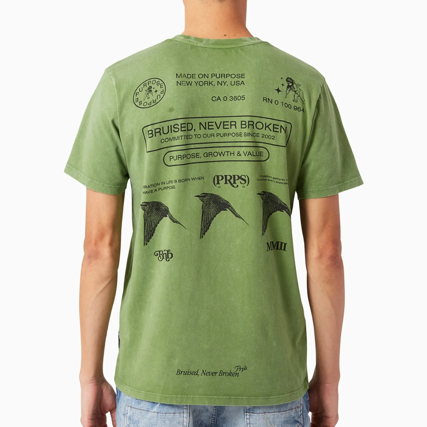 Men's Species T Shirt and Shorts Outfit