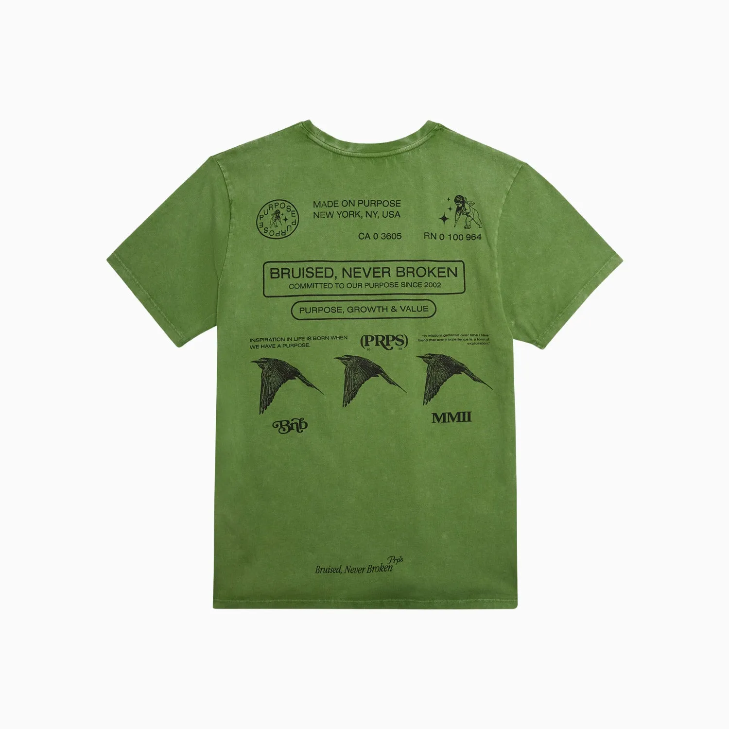 Men's Species T Shirt and Shorts Outfit