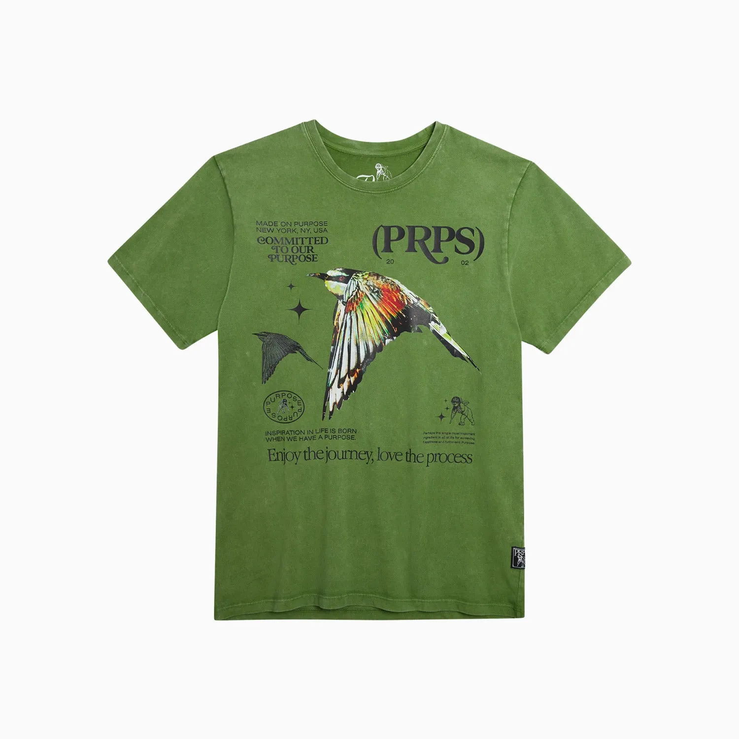 Men's Species T Shirt and Shorts Outfit