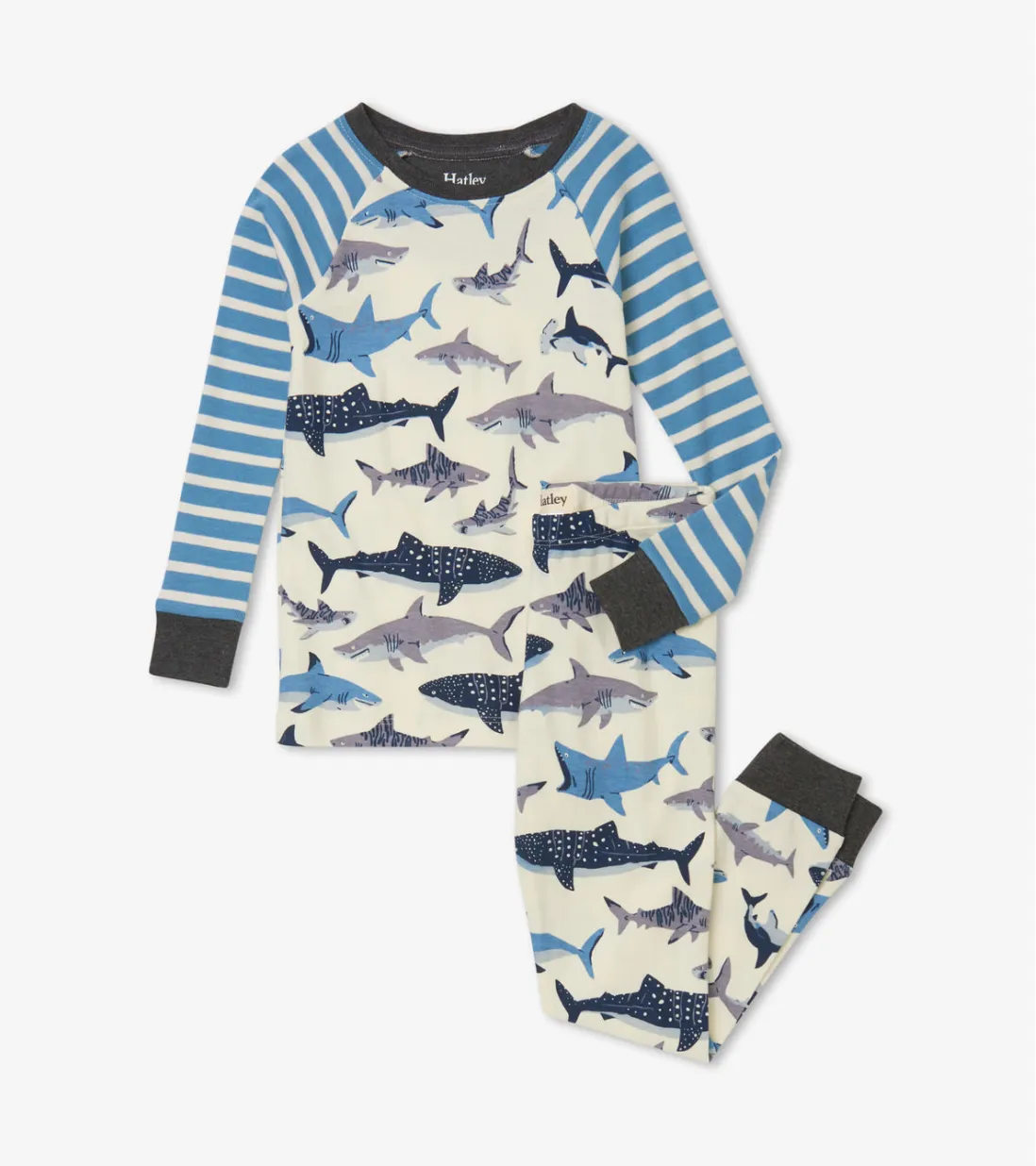 Shark School Organic Cotton Raglan Pajama Set